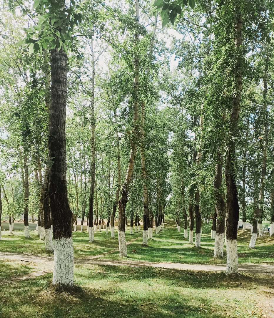 На Бору похолодало, и это ещё не предел