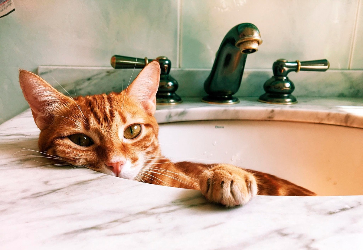 Отключение холодного водоснабжения на Бору в ночь с 21 на 22 июля