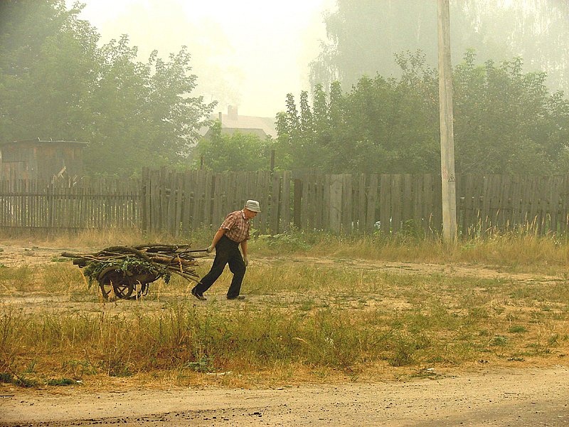 Лето 2010 может повториться на Бору