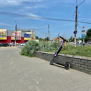 Кикшеринг по-борски 2