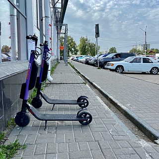 Кикшеринг по-борски 1