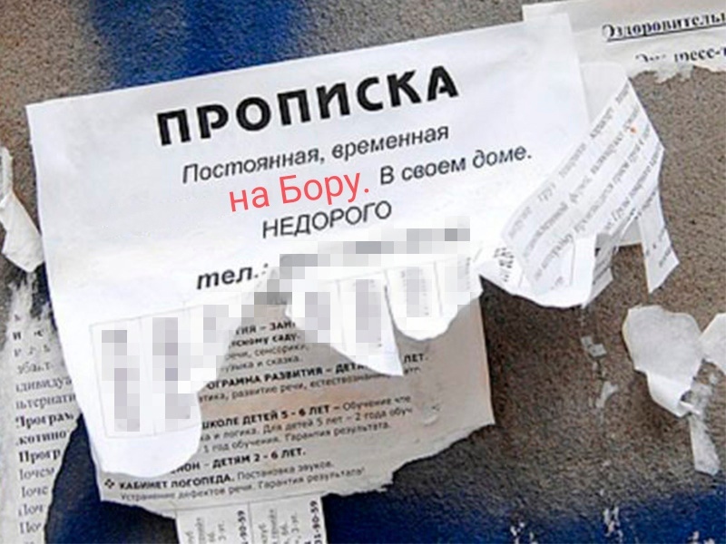 Восемь нелегалов прописал у себя житель Бора