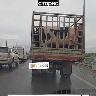 Долго ли будут пробки и что будут делать с мостом 1