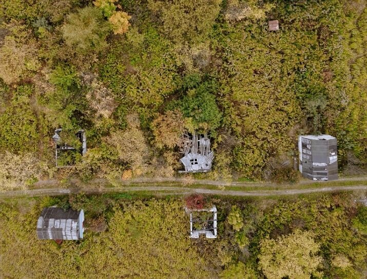 Собственницу двух борских земельных участков оштрафовали за сорняки