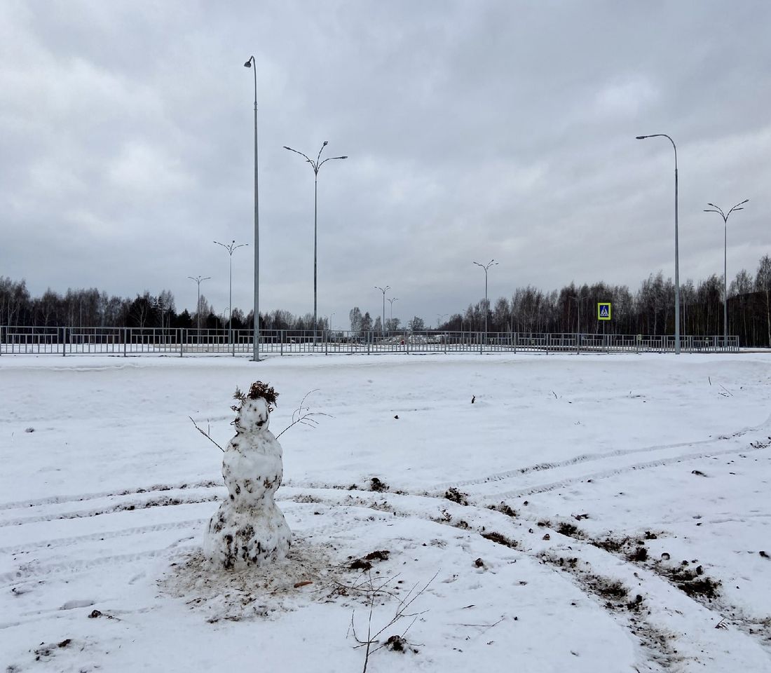 Территорию под канаткой будут оживлять новогодними забавами