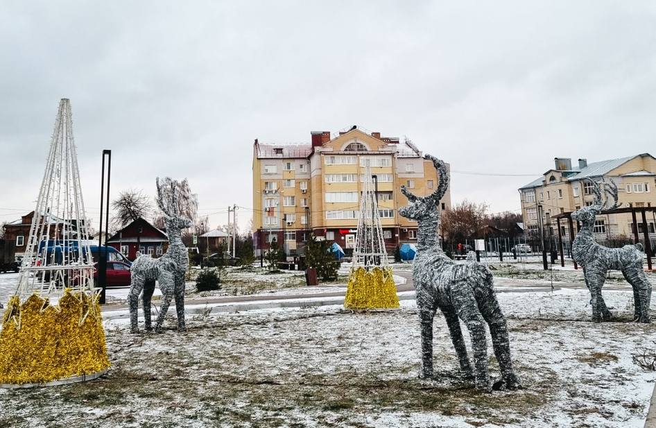 Борская новогодняя красота нуждается в бережном отношении