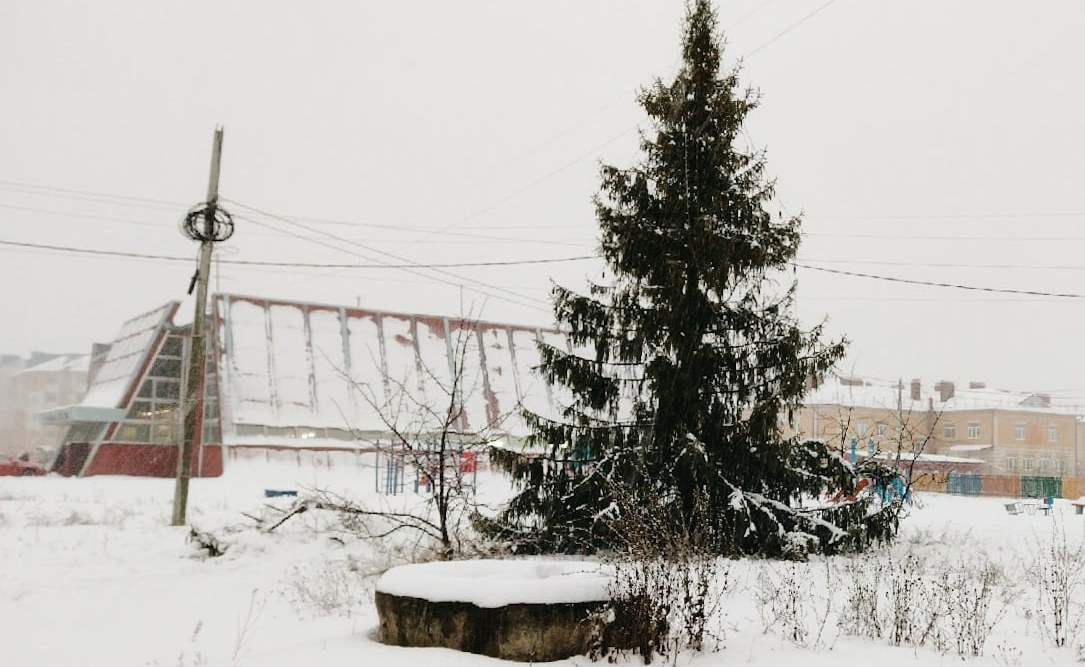 На Бору начали устанавливать новогодние елки