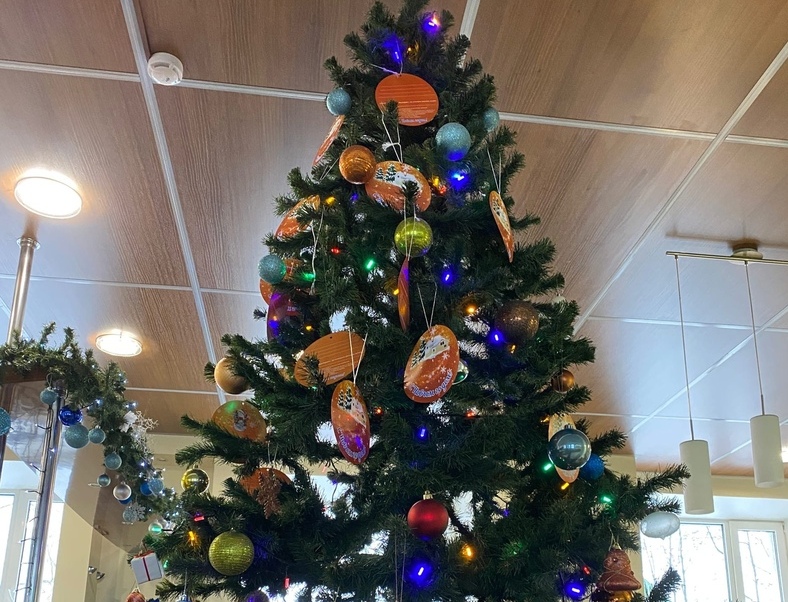 На Бору продолжается благотворительная акция "Мандарин"