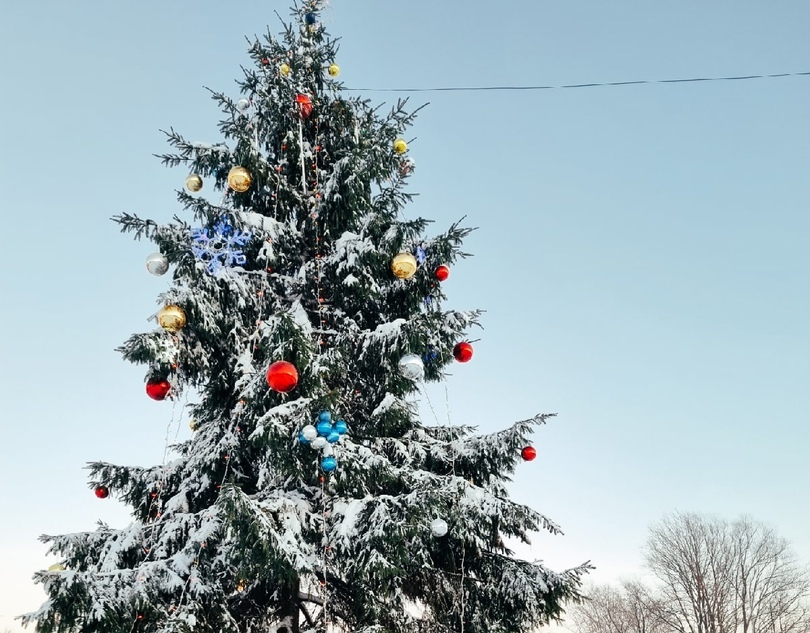 7 января на Бору состоится Рождественская елка на площади Георгия Победоносца