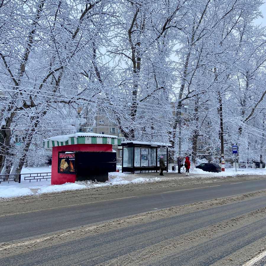 В нелепом киоске в центре Бора будут продавать шаурму