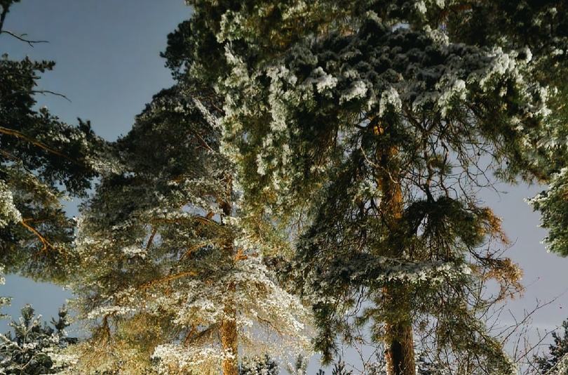 Сильнейший снегопад может обрушиться на город Бор 7 и 8 декабря