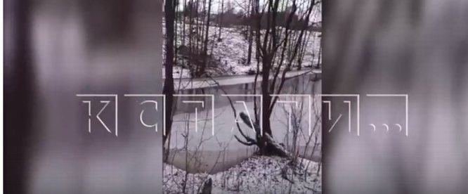 Стоки с теплиц сливают в реку Везлома