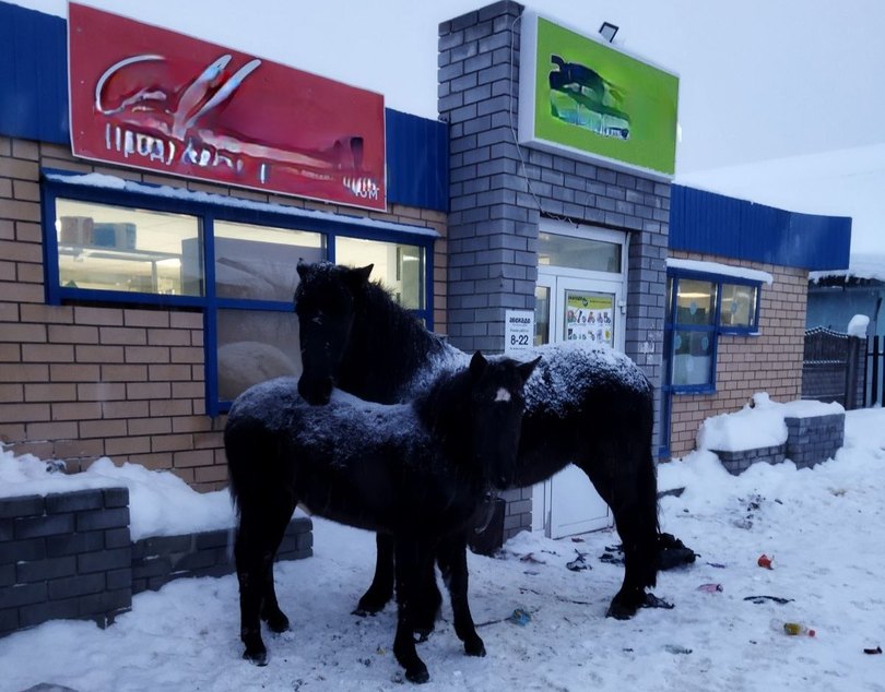 По Бору гуляли кони