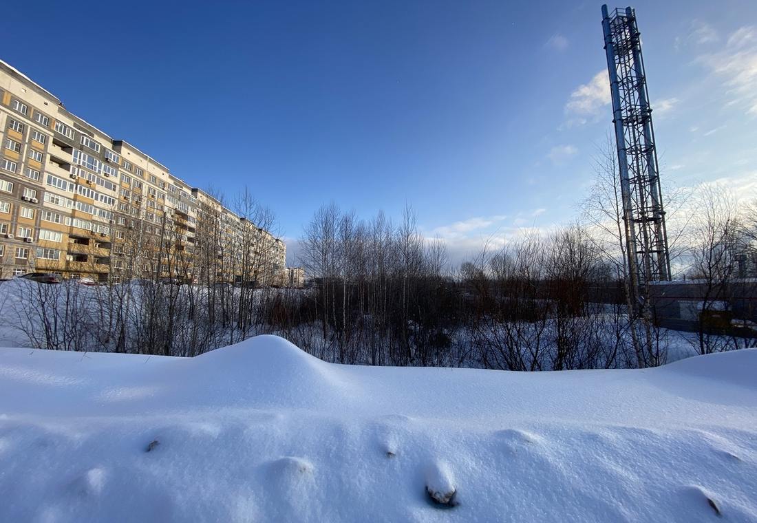 Новый инвестиционный проект под окнами борчан