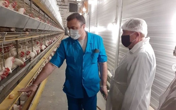 Линдовская птицефабрика оштрафована на 150 тысяч рублей