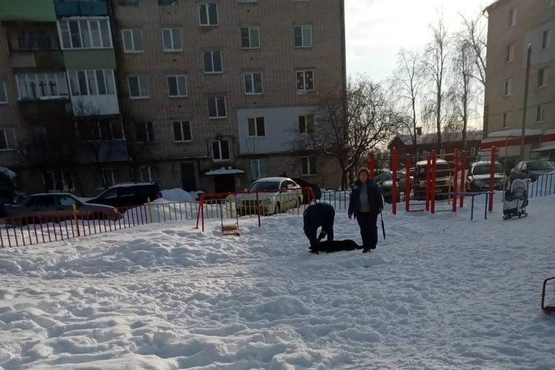 В Неклюдово начали отлавливать бездомных собак