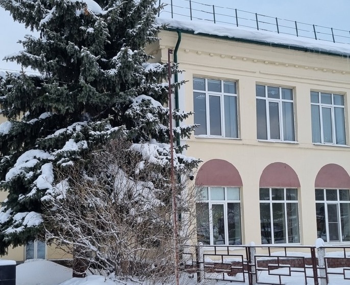 Глеб Никитин разрешил школам и ВУЗам уйти на дистант