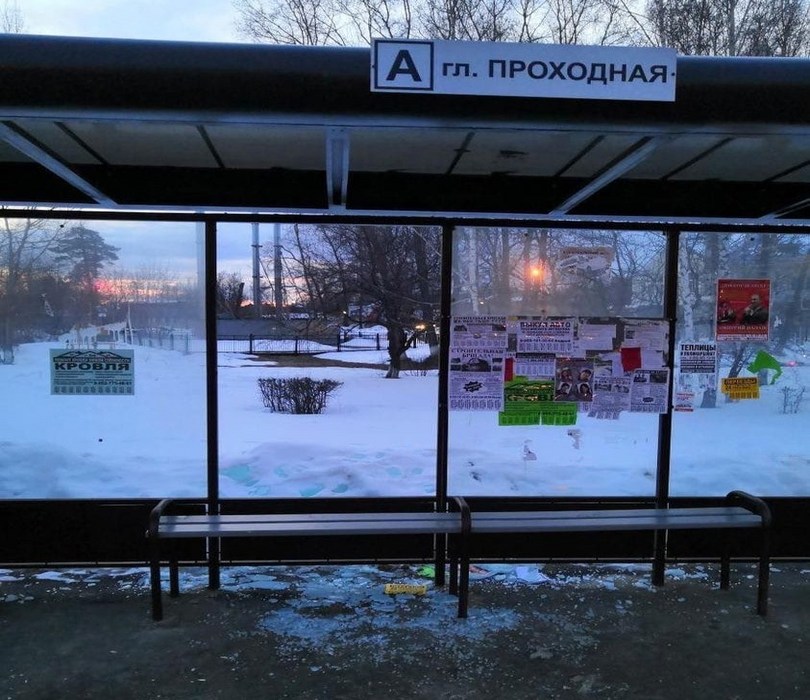 Очередная жертва борских вандалов