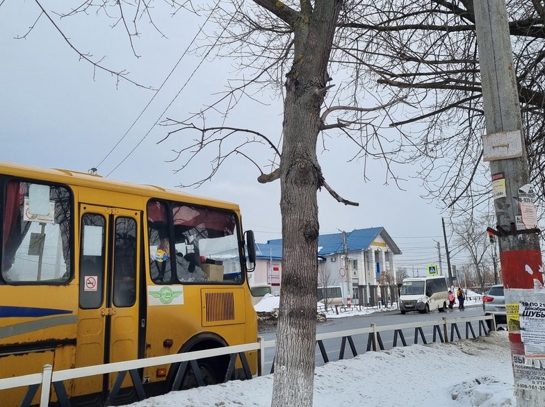 Чем оплатить проезд в борских автобусах?