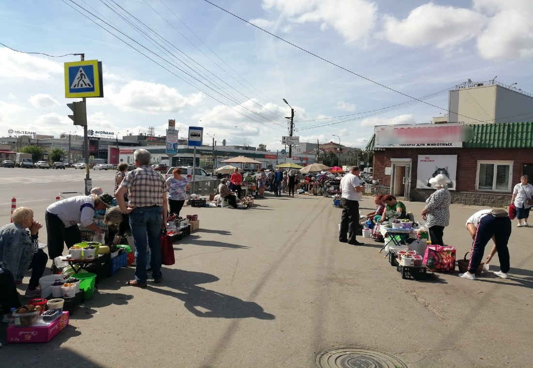 Дефицит рассады на Бору отменяется