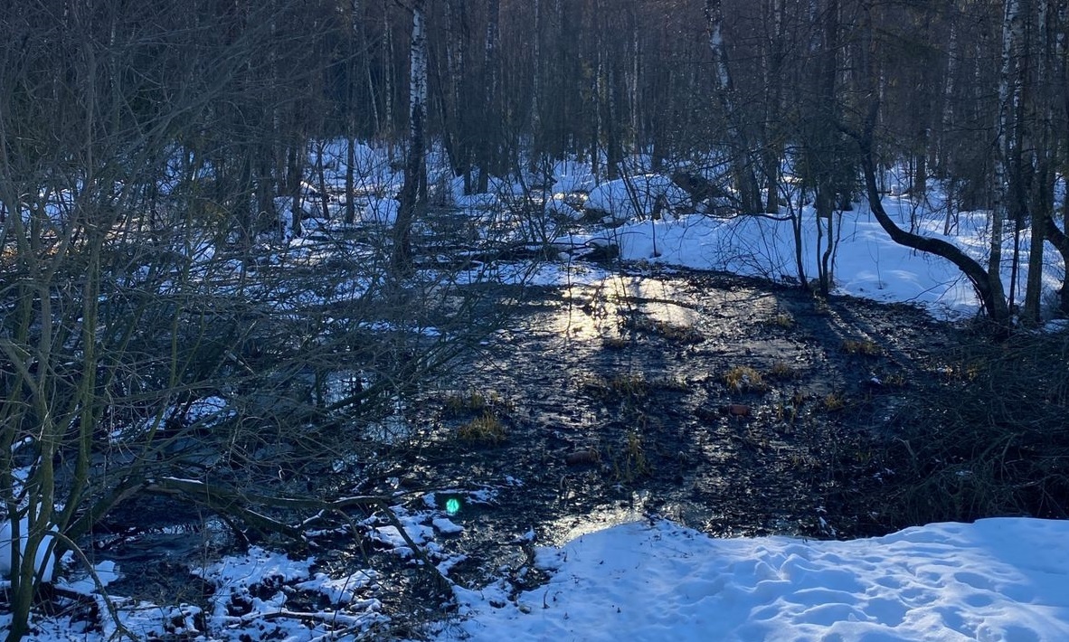 Виновника в разливе сточных вод на Бору ищет Росприроднадзор