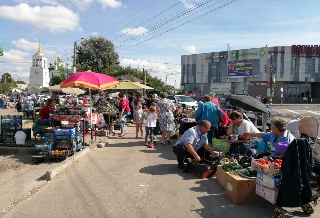 Почему Бор может столкнуться с нехваткой рассады и саженцев
