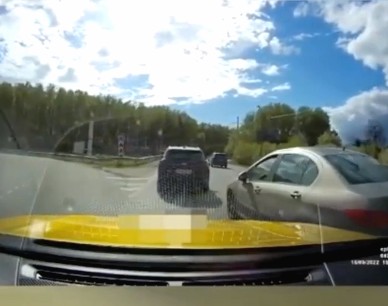 Чудак на борском кольце