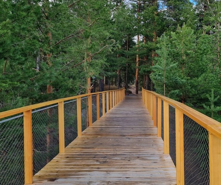 Самый холодный борский май