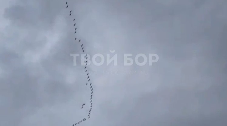 Невероятное событие во время митинга потрясло собравшихся