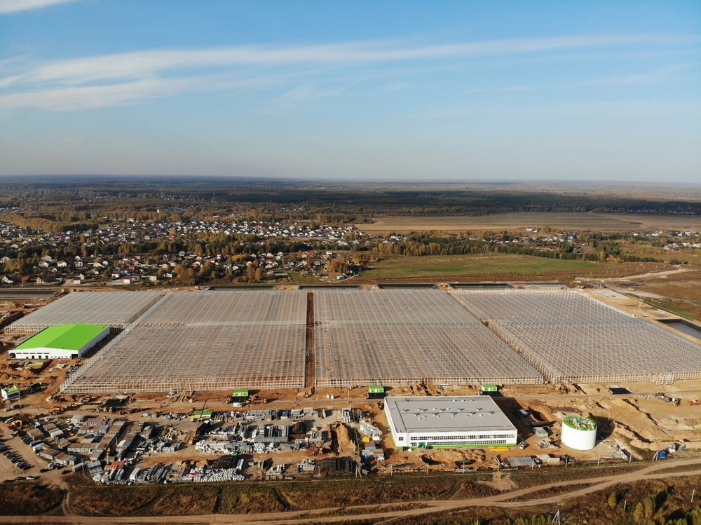 Приостановка деятельности может грозить борским теплицам