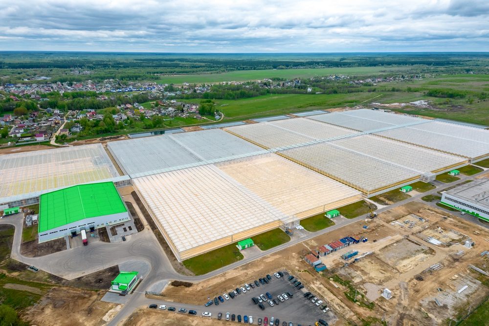 Прокуратура возбудило дело против борских теплиц