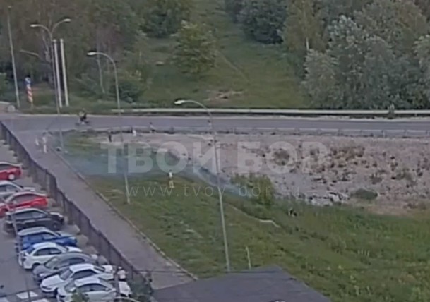 Борские подростки опять чудят