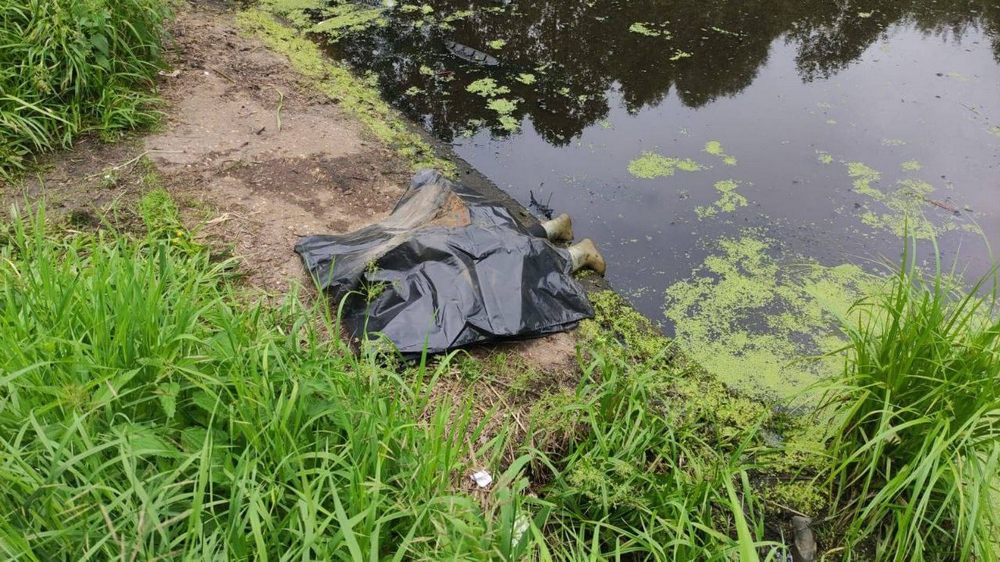 Поиски 5-летнего мальчика на Бору закончились трагедией