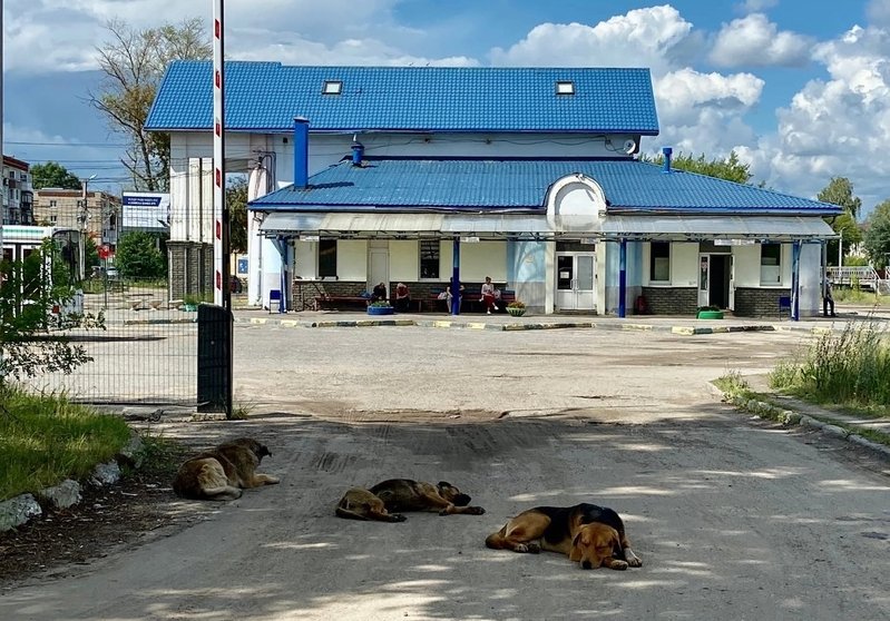 Перевозчики попросили Минтранс поднять стоимость проезда