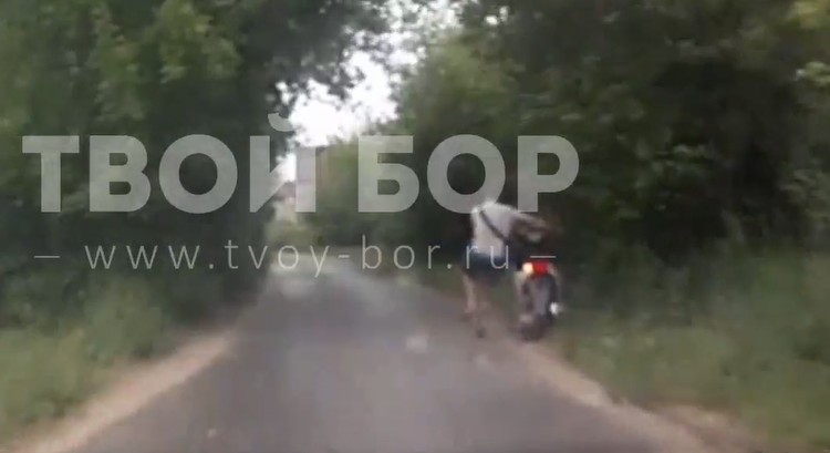 Камикадзе задержали сотрудники ГИБДД в борской деревне