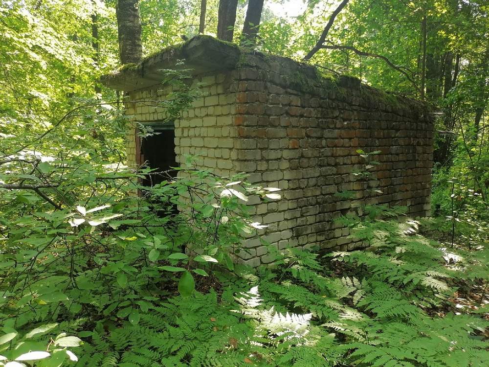 Могилы пленных немцев на Бору