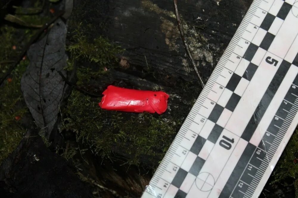 Мужчину с наркотиками задержали на Бору