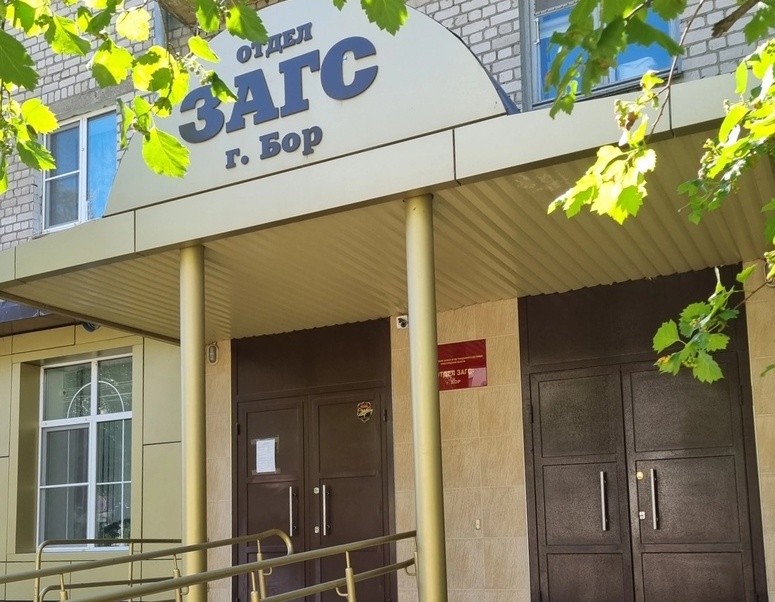 На Бору станет на 8 семей больше