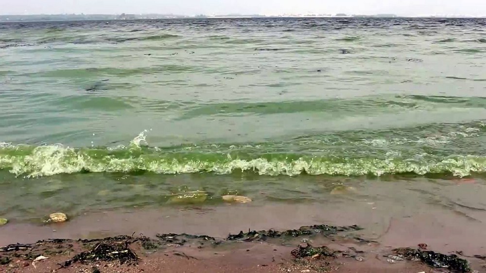 Странные пятна на берегу Волги появились в районе Борского моста