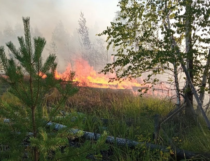 Вернется ли смог на Бор?