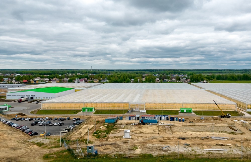 Борские теплицы возобновляют работу