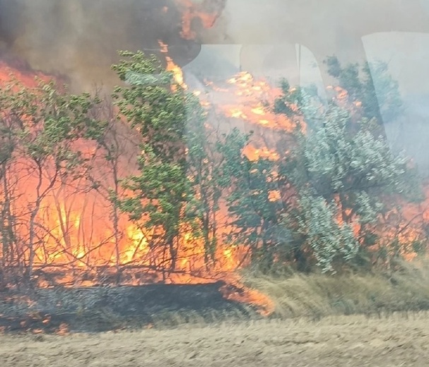 Борчане! Нужна помощь волонтёрам