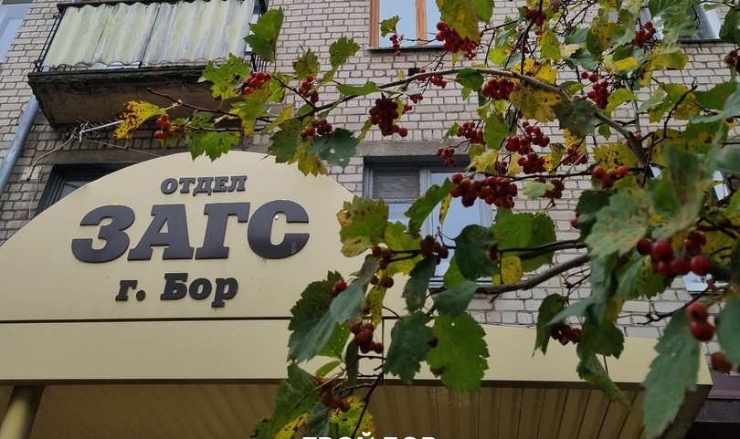 В борском ЗАГСе наблюдается нетипичное количество желающих пожениться