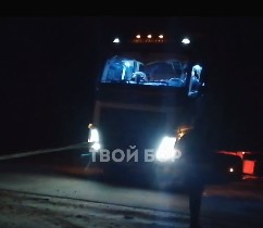 Борские мужчины не бросили в беде фуриста