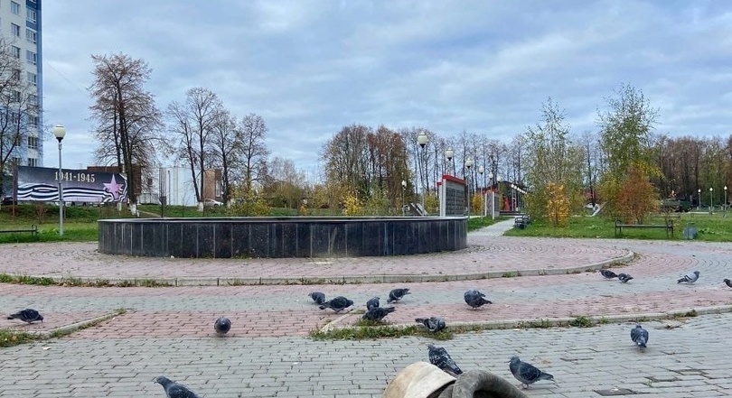 Сколько процентов птиц улетает на зиму с Бора