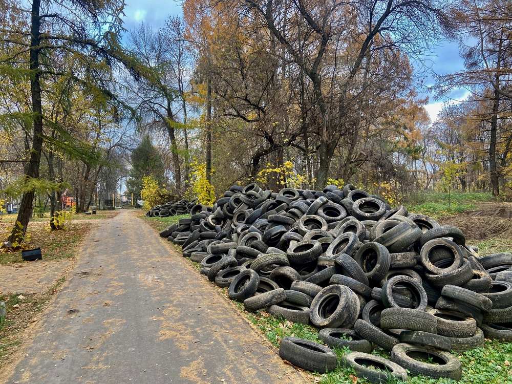 После жалобы губернатору в городском парке "зашевелились" шины