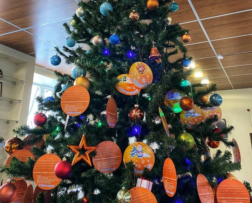 На Бору стартовала ежегодная благотворительная акция «Мандарин»