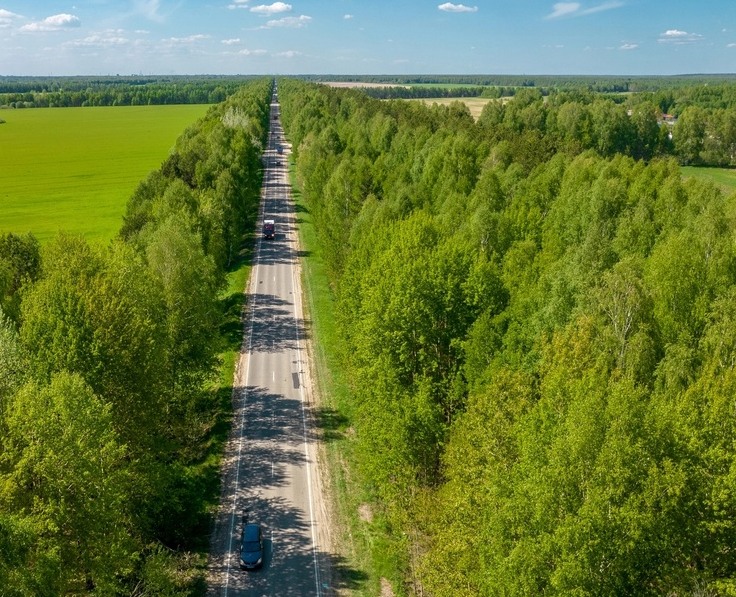 Всю неделю на Бору обещают дожди и небольшое потепление