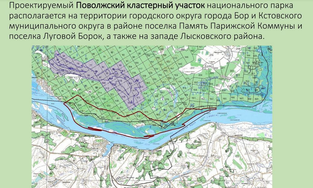 Карта осадков город бор нижегородская область