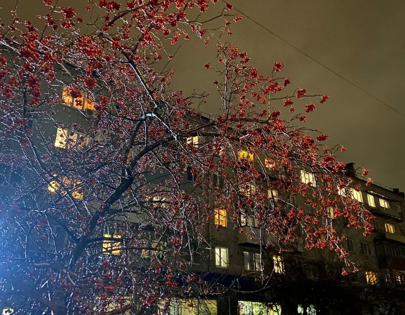 Штормовое предупреждение объявлено на Бору